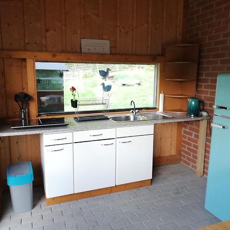 Ferienwohnung Und Sommerhaus Unter Der Burg Falkenberg  外观 照片