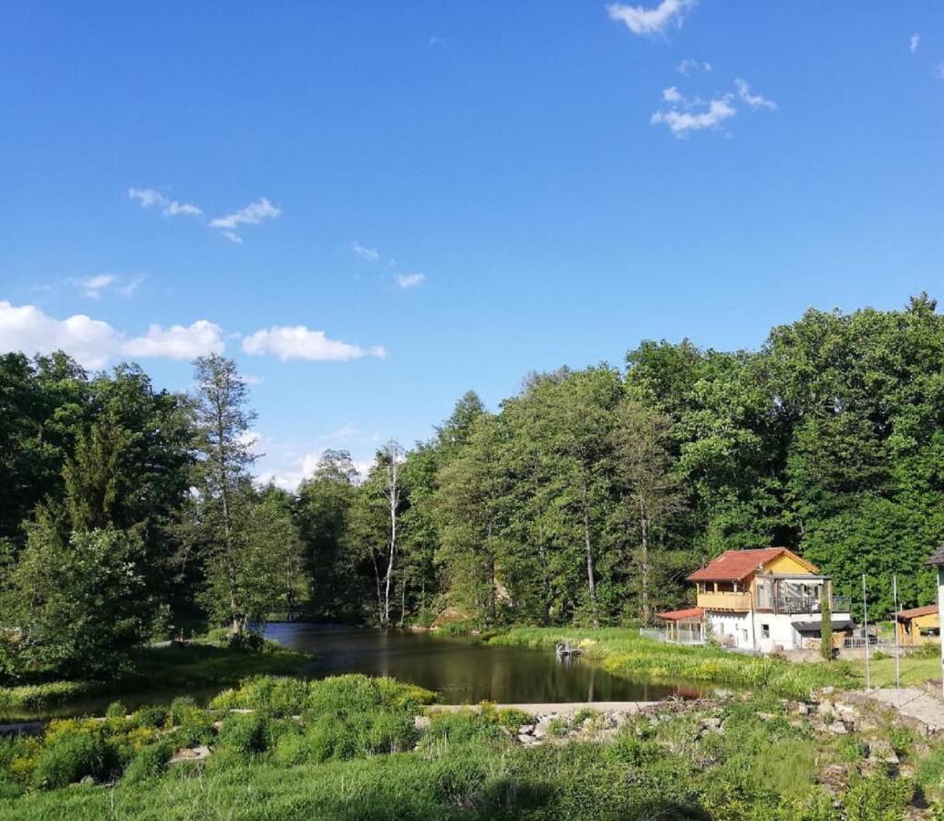 Ferienwohnung Und Sommerhaus Unter Der Burg Falkenberg  外观 照片