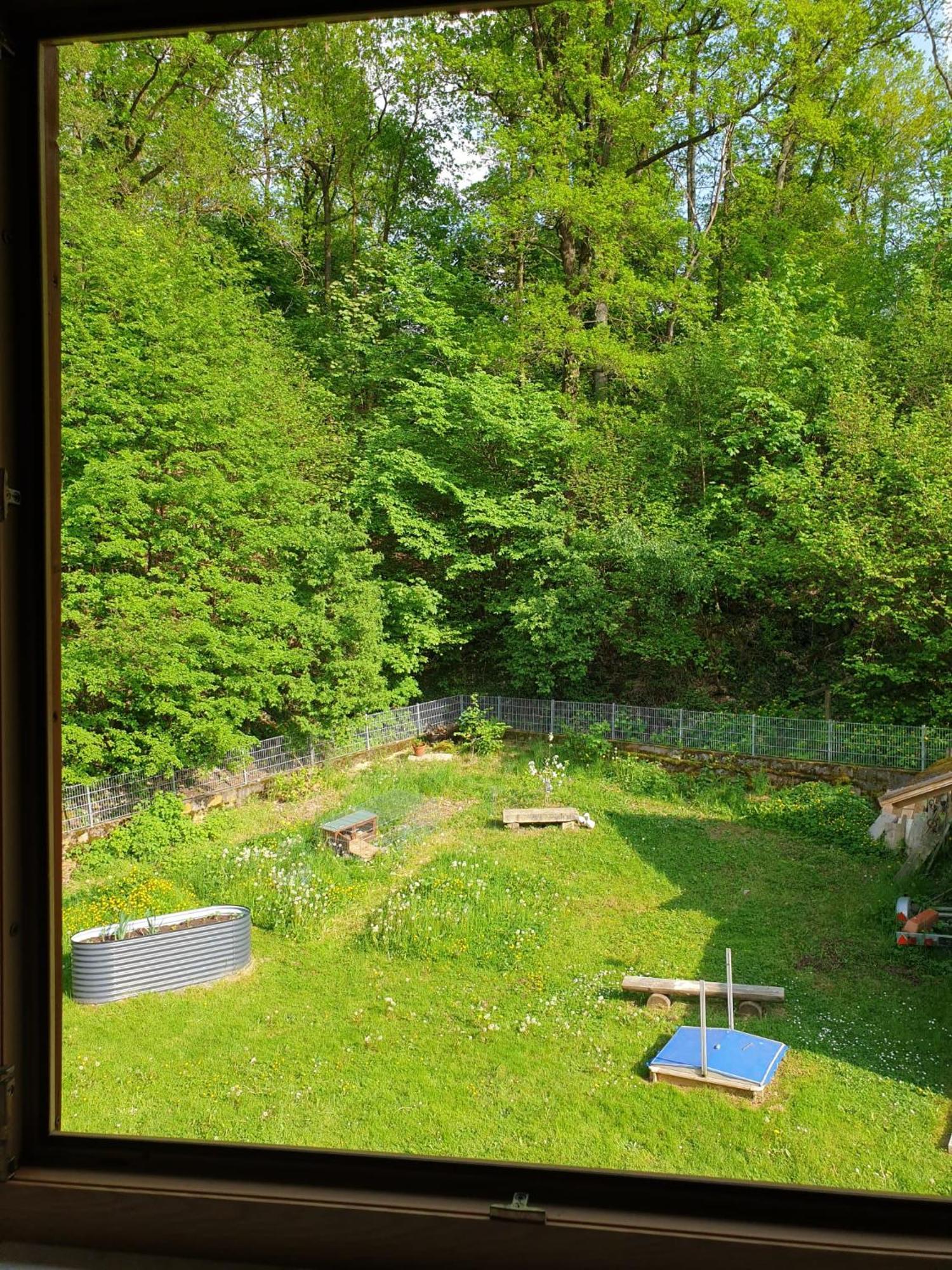 Ferienwohnung Und Sommerhaus Unter Der Burg Falkenberg  外观 照片