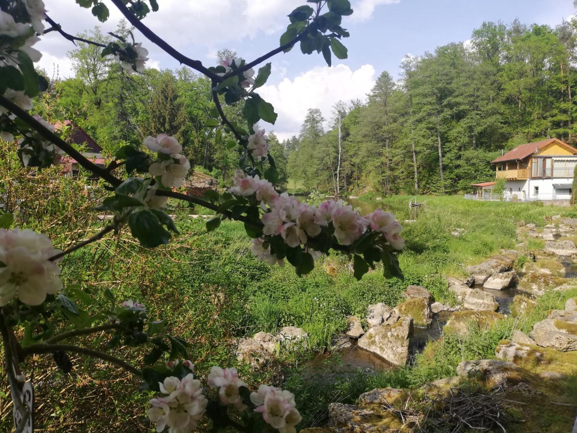 Ferienwohnung Und Sommerhaus Unter Der Burg Falkenberg  外观 照片